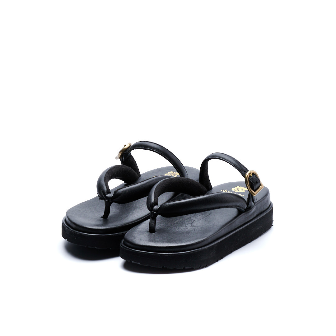 C-2354　SETTA BL